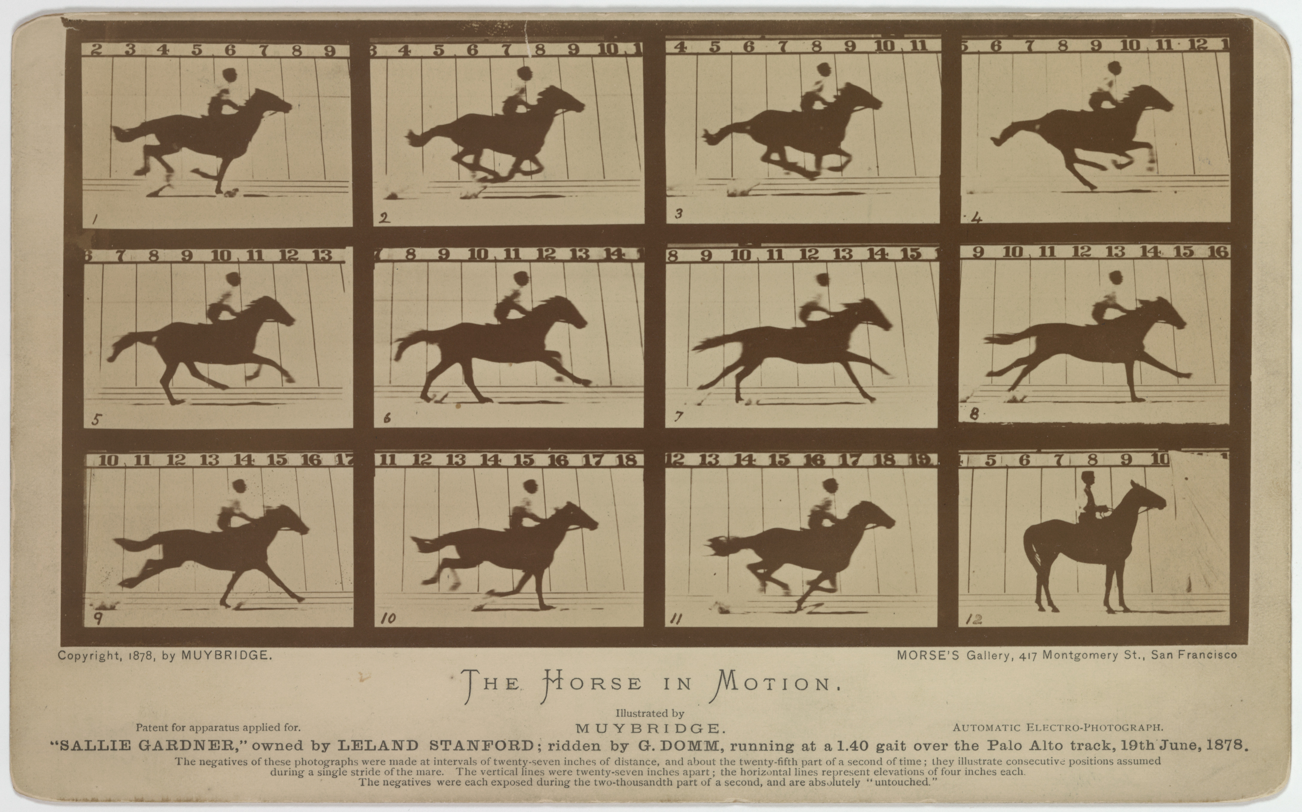 A four wide by three deep collage of photos showing a horse running that includes one frame where all four of the horse's feet are off the ground