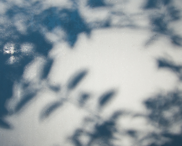 A photo of shadows of leaves